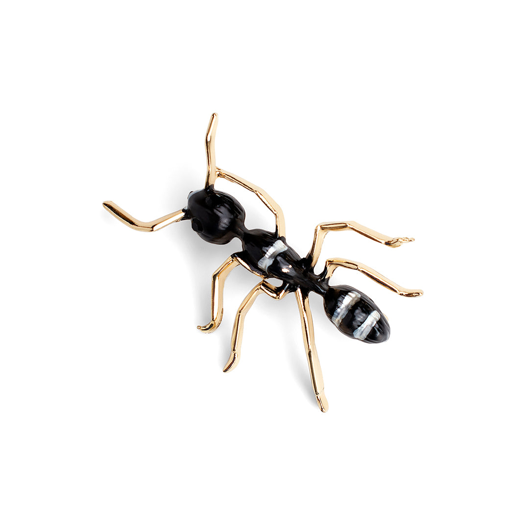 Buziga Gold Ant Brooch